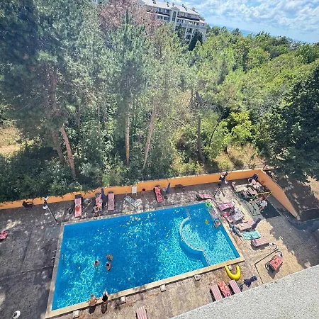 Daire линоляни